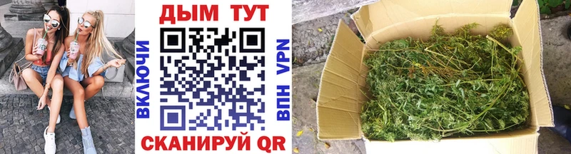 Каннабис семена  Купить где  Новосокольники 